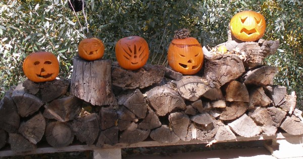 Halloween 2008 Pumpkin line-up closeup