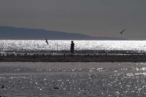 PICT4047_ML_1/1/10 On the Beach