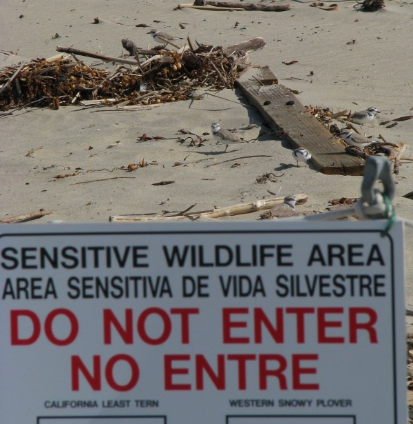 Plover Snowys & sign CU 2