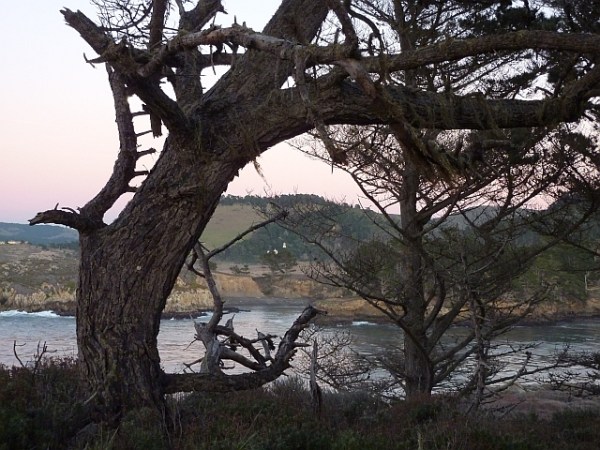 Monterey area Plauzoles 1-11 resized