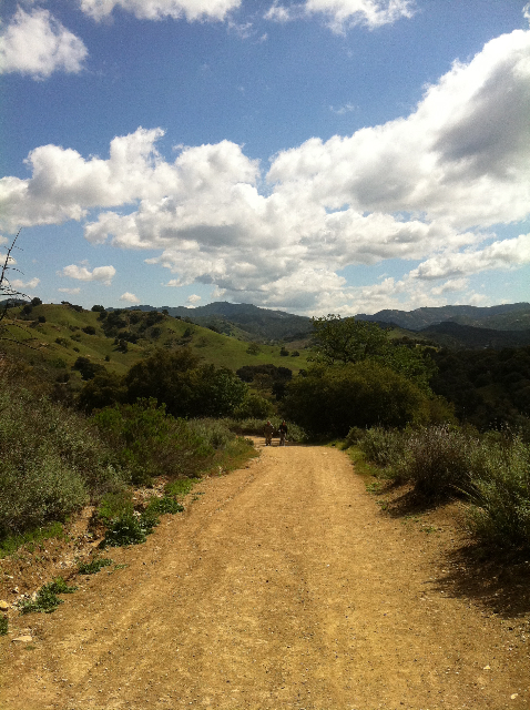 Crags Rd Viewl MCSP Mary Lou Newmark