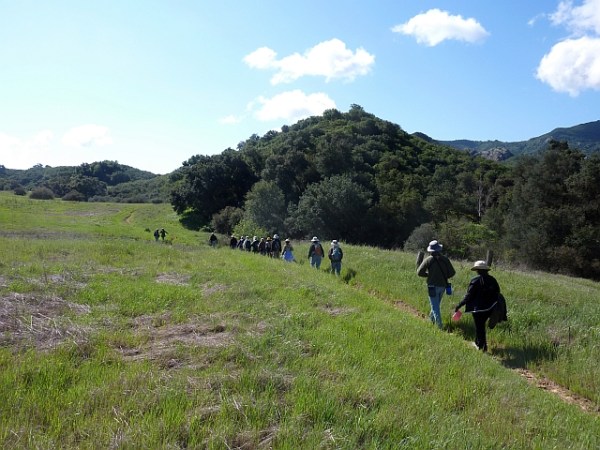 Yearling Trail 1 resize Aurelio Albaisa