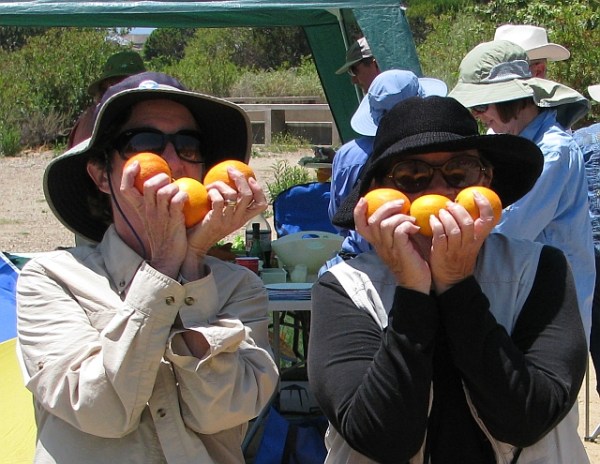 Picnic Orange eaters CU 062611_6928