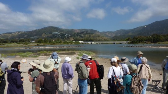 7j Birders over Plover encl to bridge_L Plauzoles_5 27 12_R_P1020306