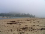 Foggy beach_ML_L Johnson_11 25&nbsp;12_SCR