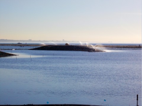 Boottoe Island looks like a surfacing whale (L. Plauzoles 10/28/12)