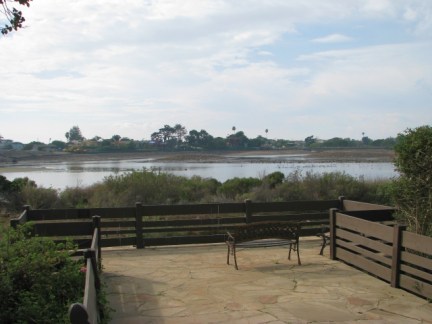Adamson boat house view of channel & gulls (C. Almdale 12/23/12)