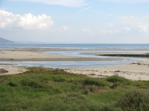 The beach breach (C. Almdale 12/23/12)