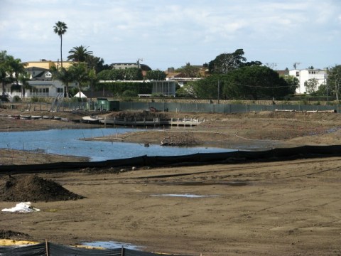 Viewing platform & path construction southwest side of channel (L. Johnson 1/27/13)