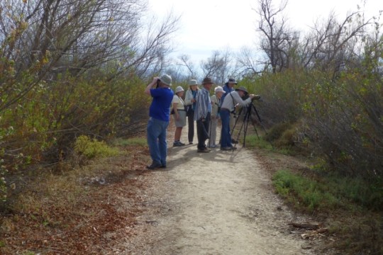 On the trail (L. Johnson 2/15/14)