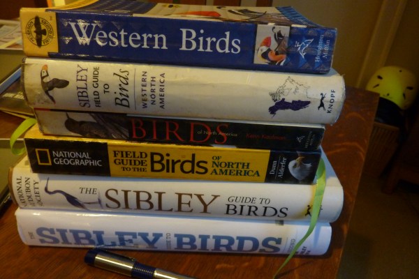 This doesn't include the 4 apps on my iPod Touch!