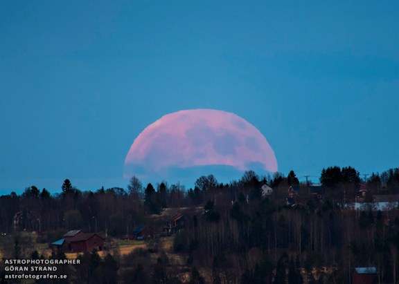 Full Strawberry Moon (Gören Strand 6/23/13 www.astrofotografen.se/ reproduced on apod.NASA.gov)