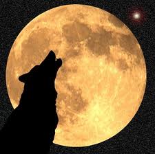 Wolf Moon (Paul Lungren - calendarDOTperfectduluthdayDOTcom