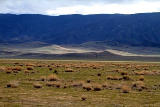 Carrizo blue mountains (Joyce Waterman 12/20/14) 