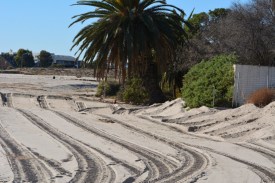 Beach grading between Adamson House and lagoon (Grace Murayama 12-18-15)