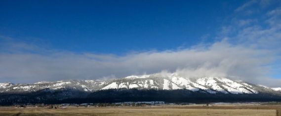 A snowy crest (Bill Griffiths, Wallowa Valley Jan'16)