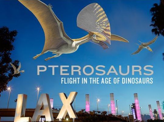 Pterosaurs at L.A. Co. Museum of Natural History