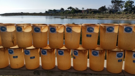 Photo: Kirsten Wahlquist 9-17-16