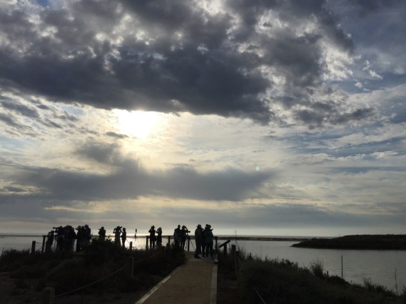 Clouds between showers (Chris Tosdevin 10-23-16)