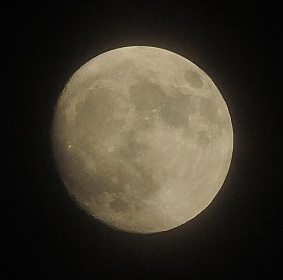 November 12 moon, approaching full supermoon status (Jim Kenney)