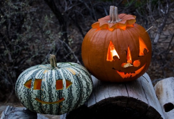 A pair of Jack-O-Lanterns (Roxie Seider 10-29-16)
