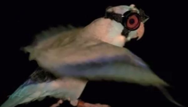 Stanford Ground Control to Major Tom