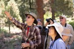 Group small_Mt-Pinos_Dan Seidner_6-9-18_66