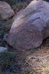 Rock+circles_Mt-Pinos_R Seidner_6-9-18_51_C