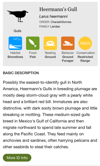 Screen Shot 2020-04-29 at 8.29.53 AM