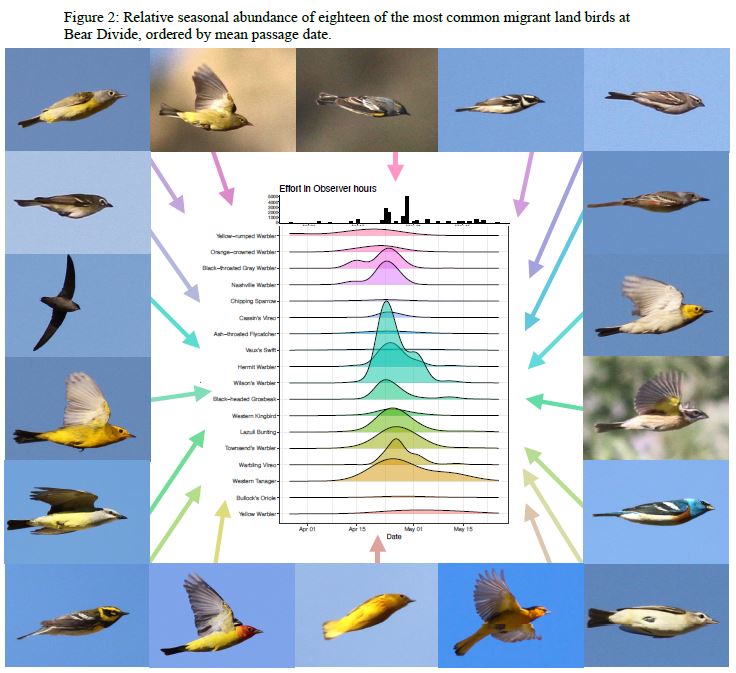 bear-divide-18-birds | SANTA MONICA BAY AUDUBON SOCIETY BLOG