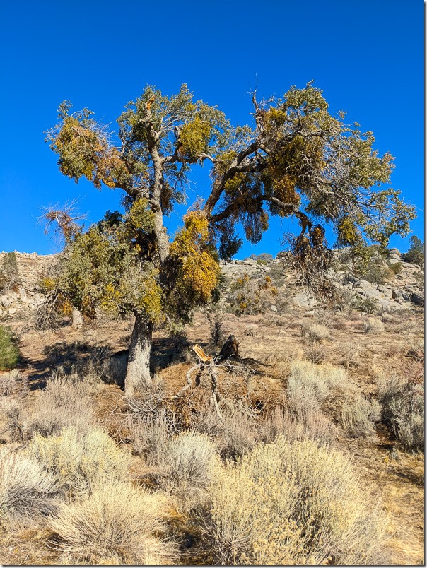 PXL_20211217_190226220