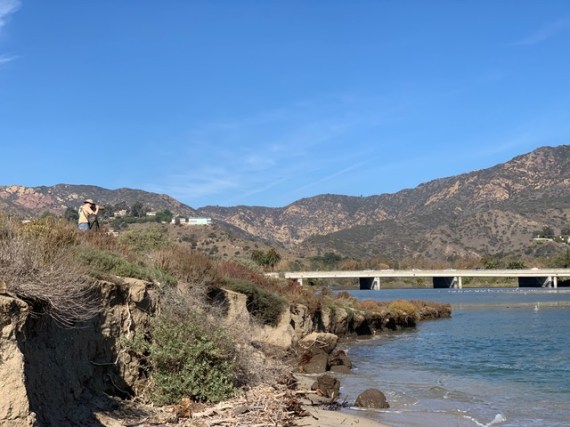 Birder on the hill (Chris Tosdevin 11-27-22)