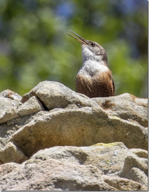 388A9898-PhotoAI-auto