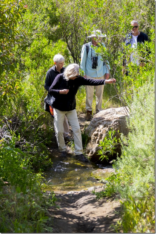 (photo credit Charles Bragg)