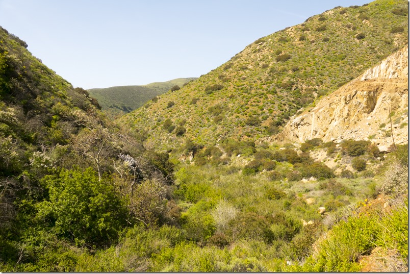 (photo credit Charles Bragg)