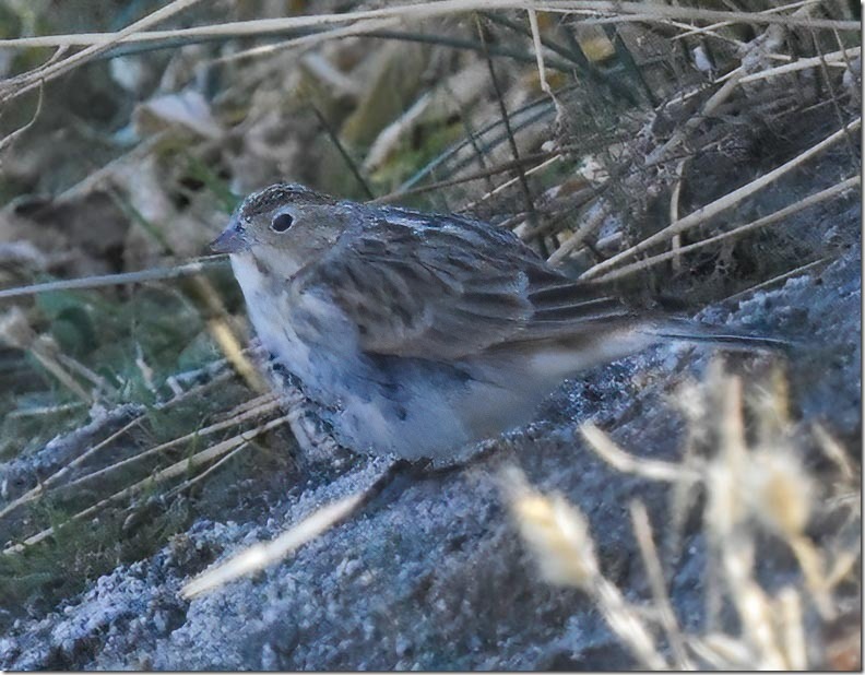 cclo-Edit-Edit-Edit-Edit_thumb[1]