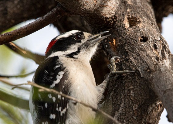 (Ray Juncosa 3-9-24)