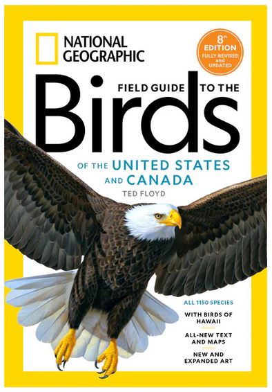 NGS 8th Edition North American Bird Field Guide | SANTA MONICA BAY